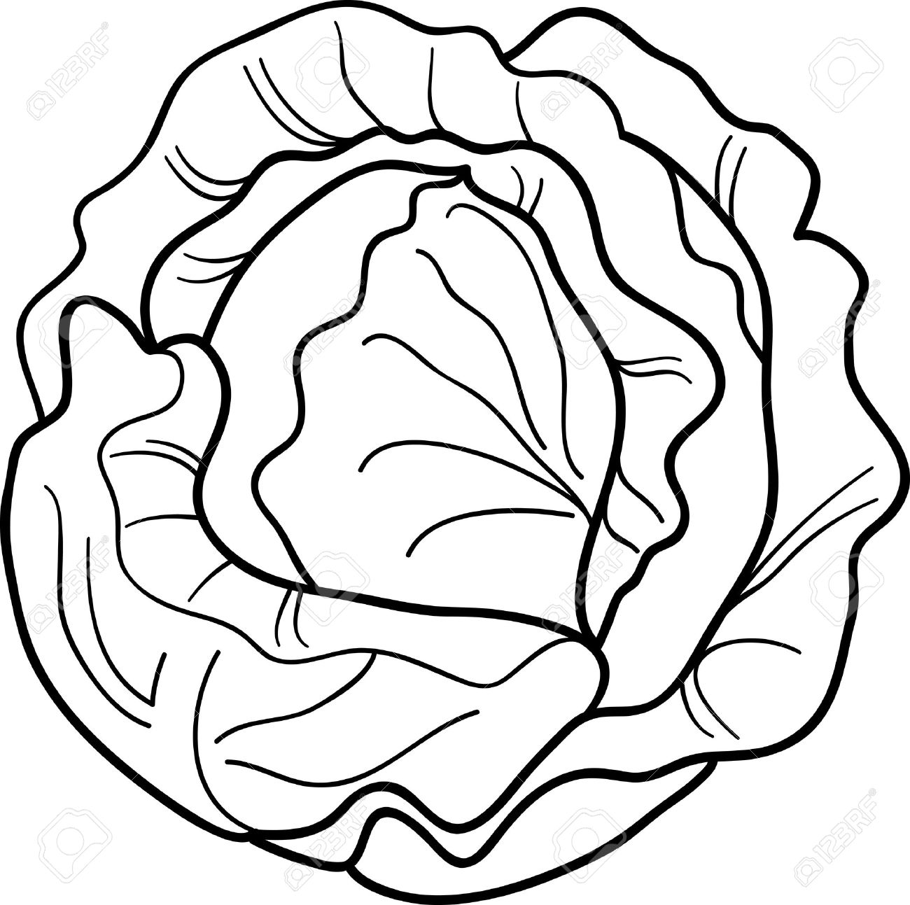 18869114-black-and-white-cartoon-illustration-of-cabbage-or-lettuce-for-coloring-book  | ESL Orange Tree